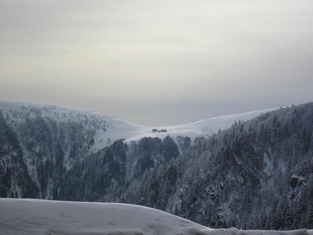 Les Bouquetins Villa Stosswihr Værelse billede