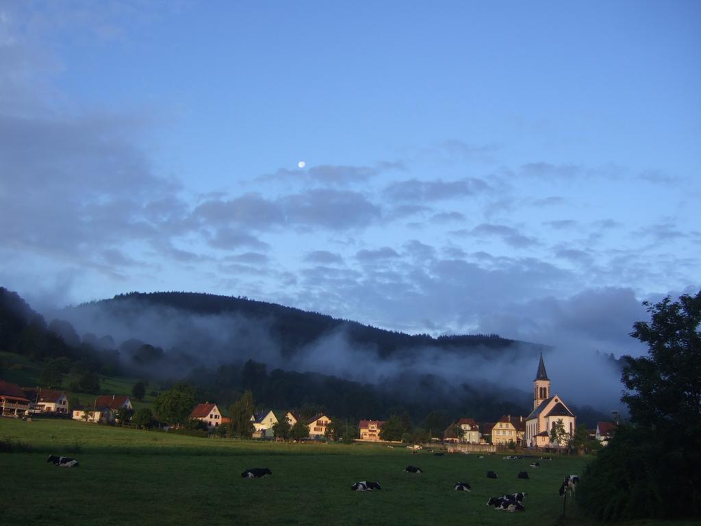 Les Bouquetins Villa Stosswihr Værelse billede